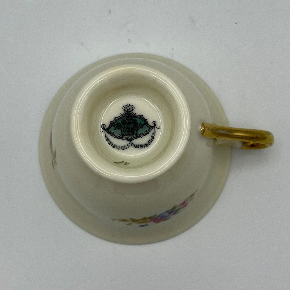 Vintage‎ Rosenthal Ivory Footed Demitasse Cup and Saucer Fruit Floral Gold Trim